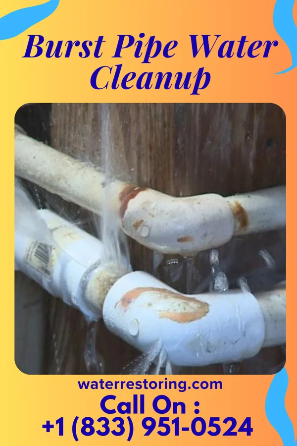 Burst Pipe Water Cleanup in South Shaftsbury, VT