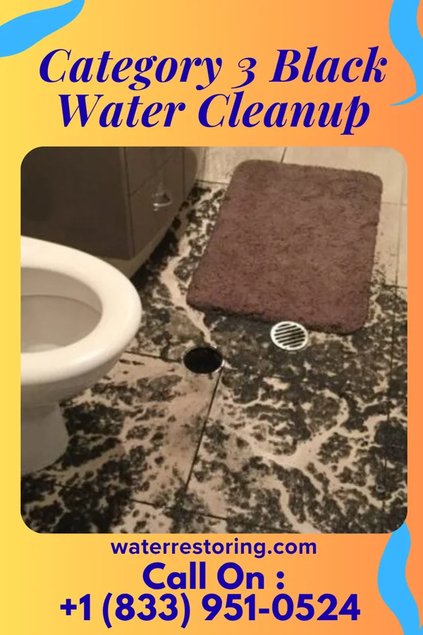 Category 3 Black Water Cleanup in South Shaftsbury, VT