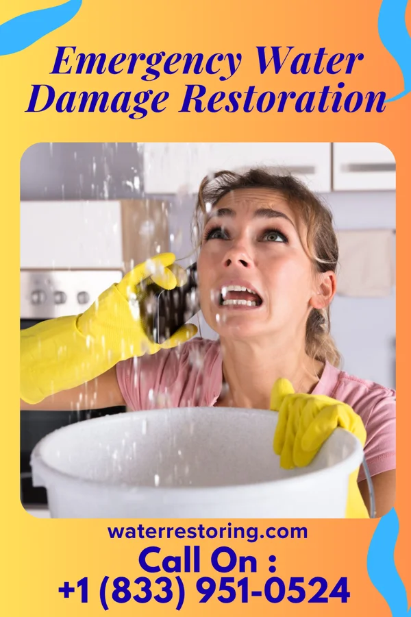 Emergency Water Damage Restoration in South Shaftsbury, VT