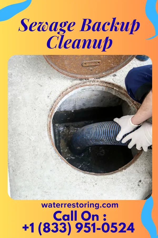 Sewage Backup Cleanup in South Shaftsbury, VT
