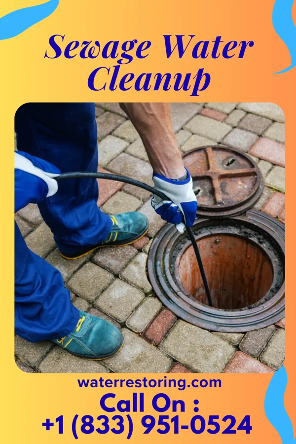 Sewage Water Cleanup in South Shaftsbury, VT
